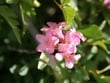 Foto Gallery