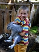 Tiere zum Greifen nahe